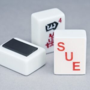 Customized/Personalized Mah Jongg Tile Magnet- set of 4