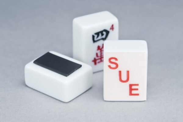 Customized/Personalized Mah Jongg Tile Magnet- set of 4